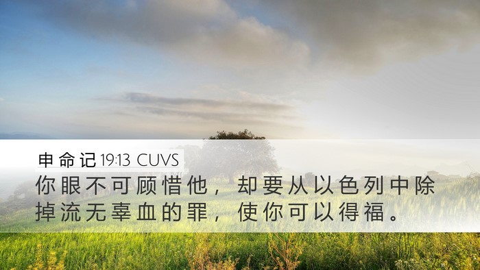 申 命 记 19:13 CUVS Bible Verse Image