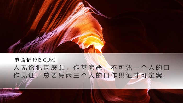 申 命 记 19:15 CUVS Bible Verse Image