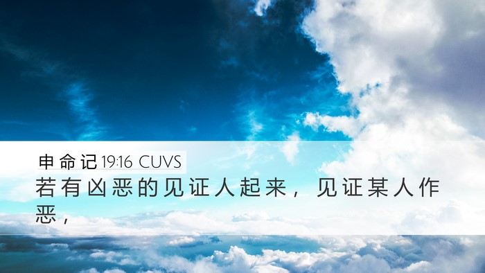 申 命 记 19:16 CUVS Bible Verse Image