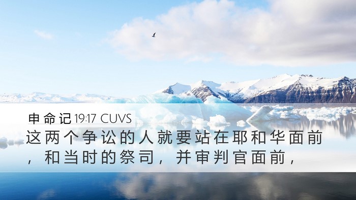 申 命 记 19:17 CUVS Bible Verse Image