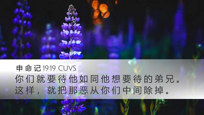 申 命 记 19:19 CUVS Bible Verse Image