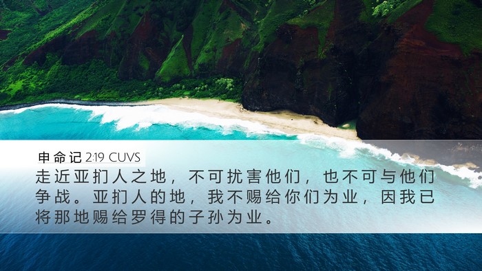 申 命 记 2:19 CUVS Bible Verse Image