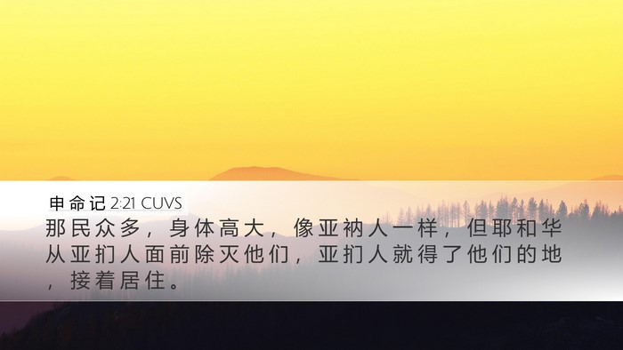 申 命 记 2:21 CUVS Bible Verse Image