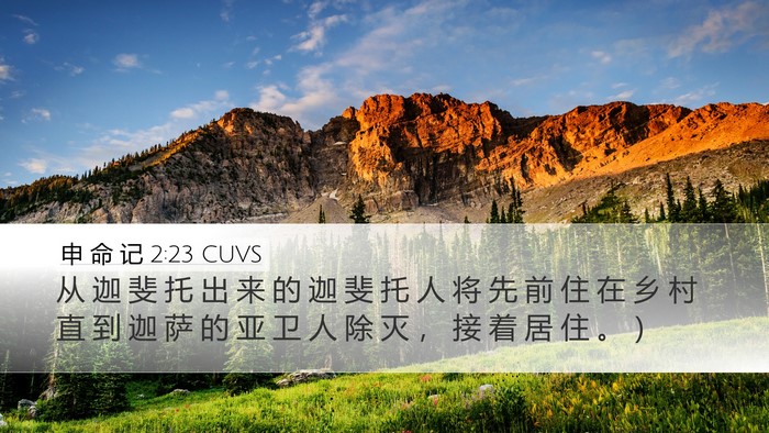 申 命 记 2:23 CUVS Bible Verse Image