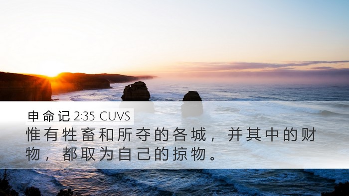 申 命 记 2:35 CUVS Bible Verse Image