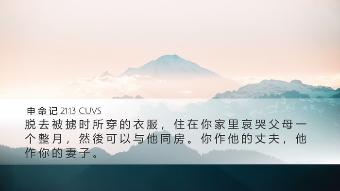 申 命 记 21:13 CUVS Bible Verse Image