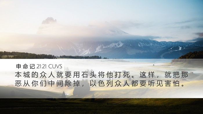 申 命 记 21:21 CUVS Bible Verse Image