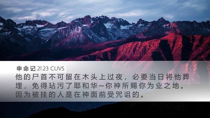 申 命 记 21:23 CUVS Bible Verse Image