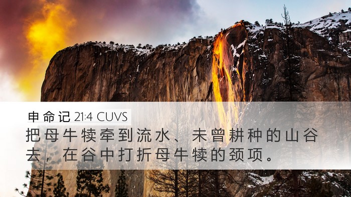 申 命 记 21:4 CUVS Desktop Wallpaper - 把 母 牛 犊 牵 到 流 水 、 未 曾 耕 - Desktop Bible Verse Wallpaper