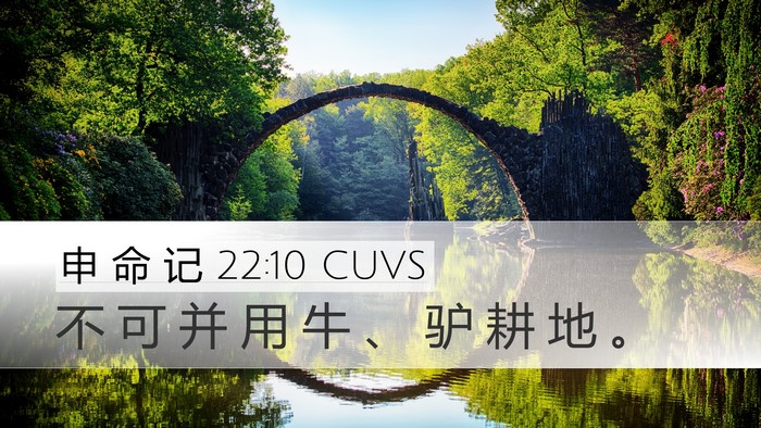 申 命 记 22:10 CUVS Desktop Wallpaper - 不 可 并 用 牛 、 驴 耕 地 - Desktop Bible Verse Wallpaper