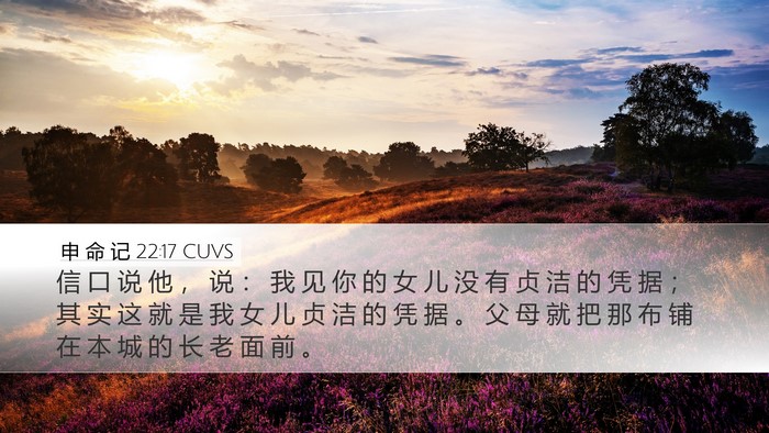 申 命 记 22:17 CUVS Desktop Wallpaper - 信 口 说 他 ， 说 ： 我 见 你 的 女 - Desktop Bible Verse Wallpaper