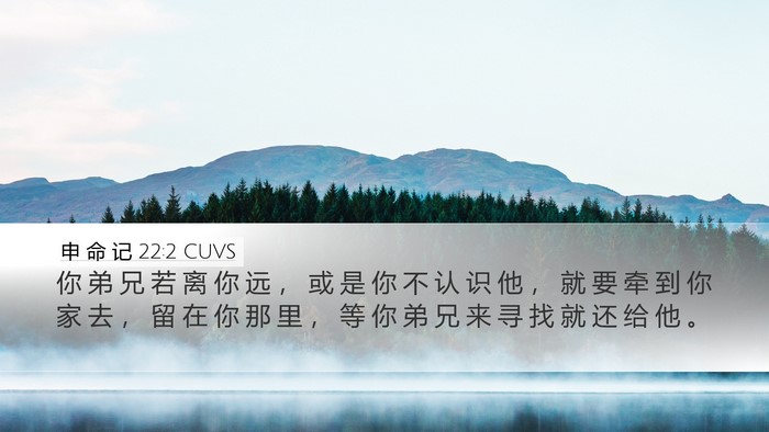 申 命 记 22:2 CUVS Desktop Wallpaper - 你 弟 兄 若 离 你 远 ， 或 是 你 不 - Desktop Bible Verse Wallpaper
