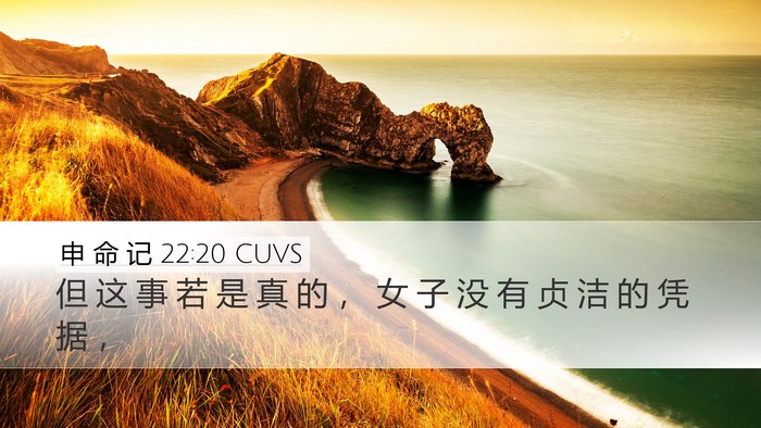 申 命 记 22:20 CUVS Desktop Wallpaper - 但 这 事 若 是 真 的 ， 女 子 没 有 - Desktop Bible Verse Wallpaper