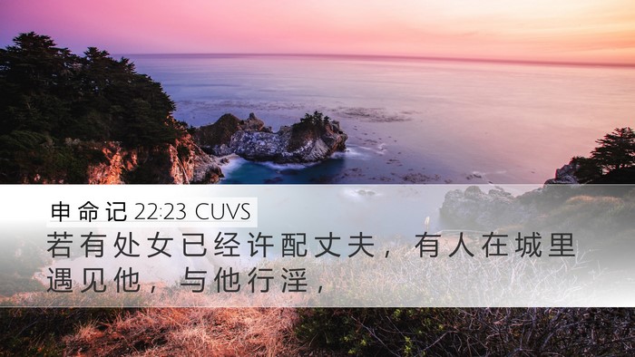 申 命 记 22:23 CUVS Bible Verse Image