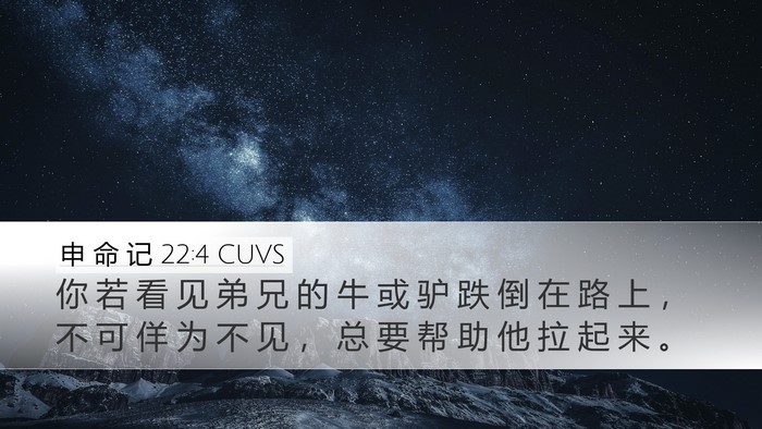申 命 记 22:4 CUVS Desktop Wallpaper - 你 若 看 见 弟 兄 的 牛 或 驴 跌 倒 - Desktop Bible Verse Wallpaper