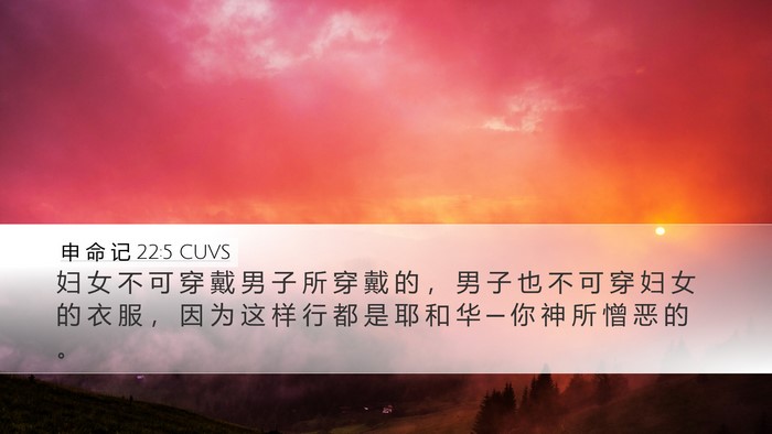 申 命 记 22:5 CUVS Desktop Wallpaper - 妇 女 不 可 穿 戴 男 子 所 穿 戴 的 - Desktop Bible Verse Wallpaper