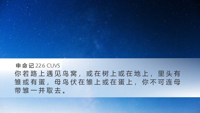 申 命 记 22:6 CUVS Desktop Wallpaper - 你 若 路 上 遇 见 鸟 窝 ， 或 在 树 - Desktop Bible Verse Wallpaper