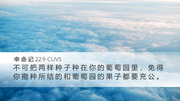 申 命 记 22:9 CUVS Desktop Wallpaper - 不 可 把 两 样 种 子 种 在 你 的 葡 - Desktop Bible Verse Wallpaper