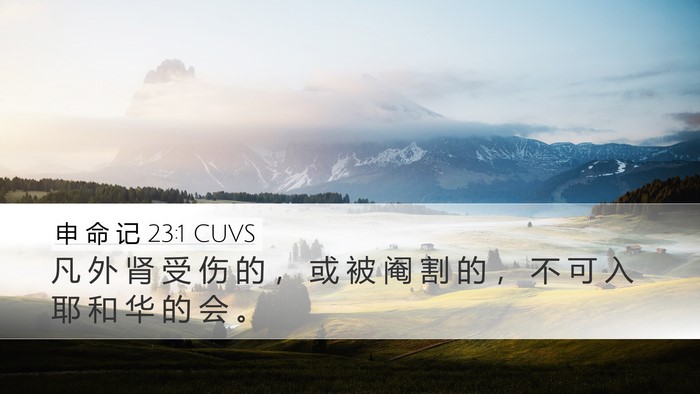 申 命 记 23:1 CUVS Bible Verse Image
