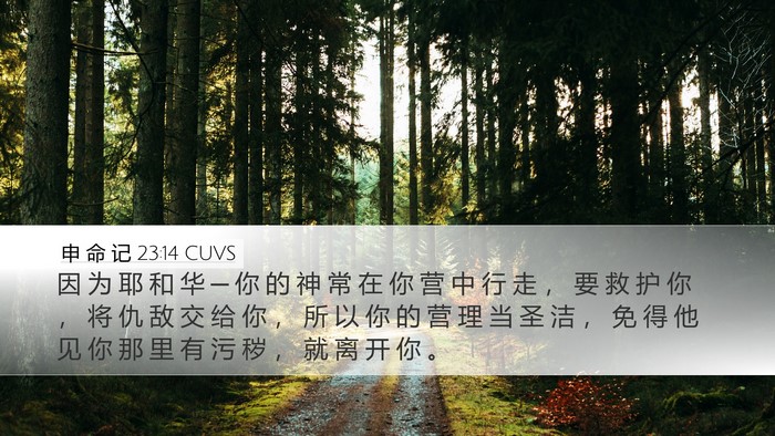 申 命 记 23:14 CUVS Bible Verse Image
