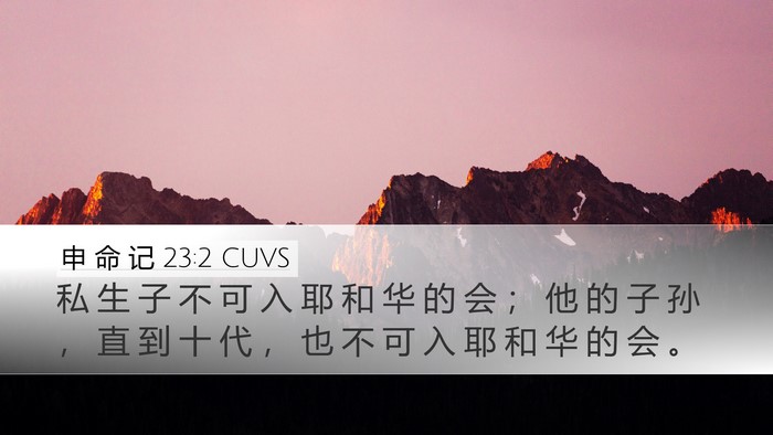 申 命 记 23:2 CUVS Desktop Wallpaper - 私 生 子 不 可 入 耶 和 华 的 会 ； - Desktop Bible Verse Wallpaper