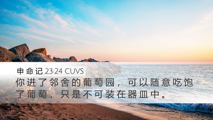 申 命 记 23:24 CUVS Bible Verse Image