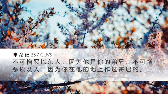 申 命 记 23:7 CUVS Bible Verse Image