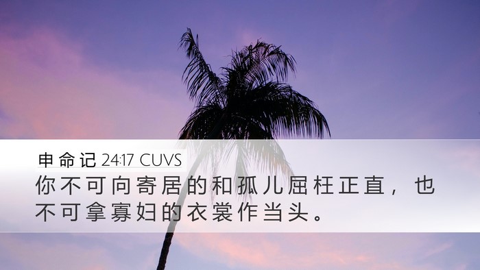 申 命 记 24:17 CUVS Bible Verse Image