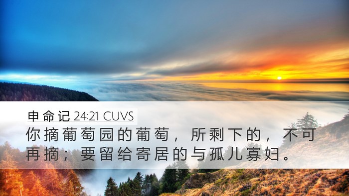 申 命 记 24:21 CUVS Desktop Wallpaper - 你 摘 葡 萄 园 的 葡 萄 ， 所 剩 下 - Desktop Bible Verse Wallpaper