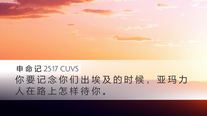 申 命 记 25:17 CUVS Bible Verse Image