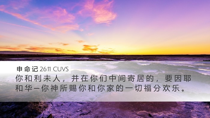 申 命 记 26:11 CUVS Desktop Wallpaper - 你 和 利 未 人 ， 并 在 你 们 中 间 - Desktop Bible Verse Wallpaper