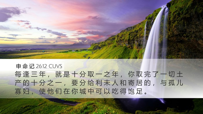 申 命 记 26:12 CUVS Bible Verse Image