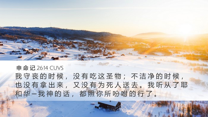 申 命 记 26:14 CUVS Bible Verse Image