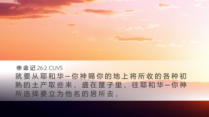 申 命 记 26:2 CUVS Bible Verse Image