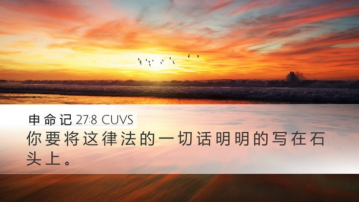 申 命 记 27:8 CUVS Bible Verse Image