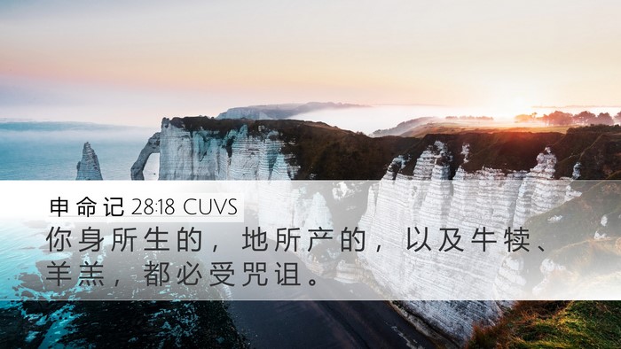 申 命 记 28:18 CUVS Bible Verse Image