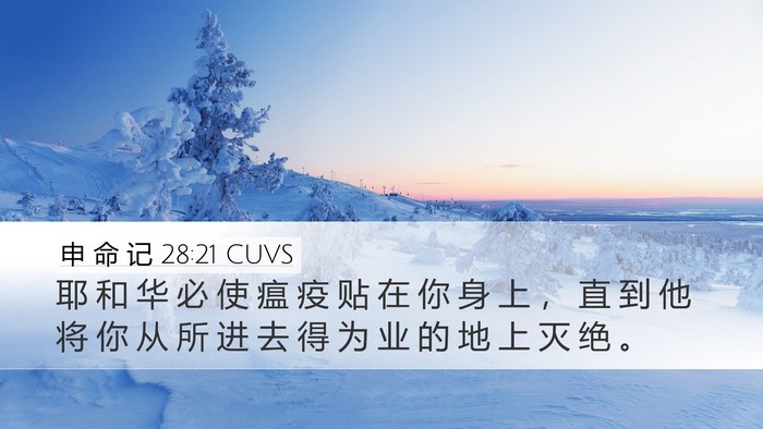 申 命 记 28:21 CUVS Bible Verse Image