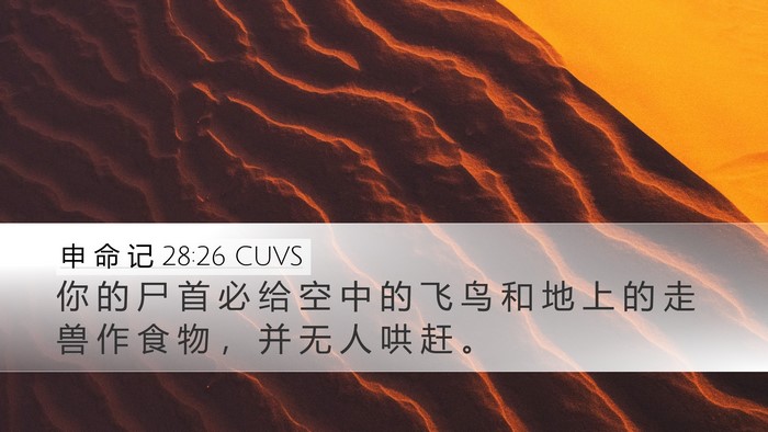 申 命 记 28:26 CUVS Bible Verse Image