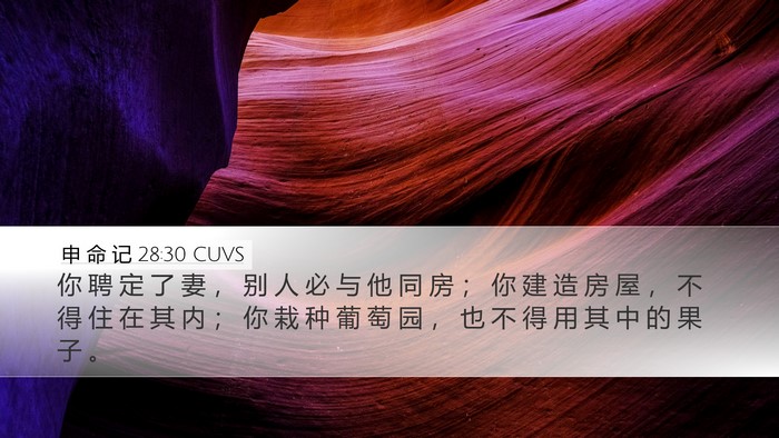 申 命 记 28:30 CUVS Bible Verse Image