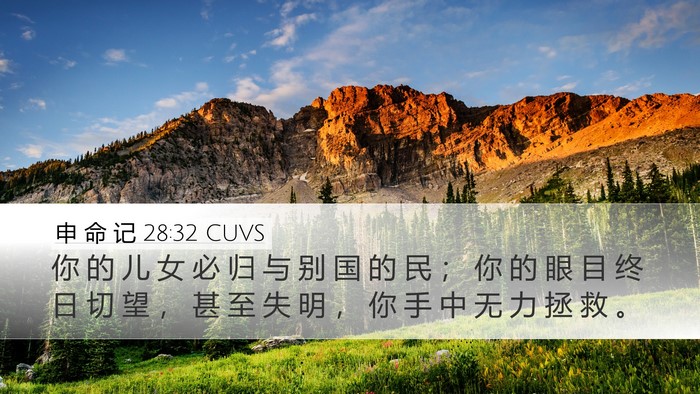 申 命 记 28:32 CUVS Bible Verse Image