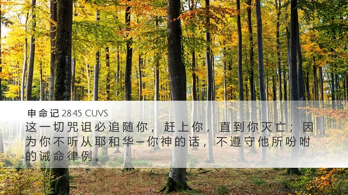 申 命 记 28:45 CUVS Bible Verse Image