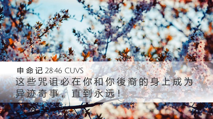 申 命 记 28:46 CUVS Bible Verse Image