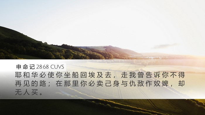 申 命 记 28:68 CUVS Bible Verse Image