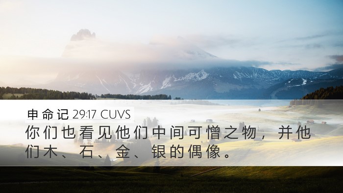 申 命 记 29:17 CUVS Desktop Wallpaper - 你 们 也 看 见 他 们 中 间 可 憎 之 - Desktop Bible Verse Wallpaper