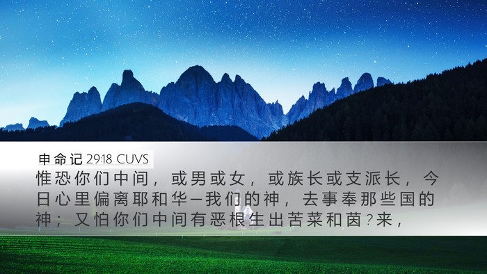 申 命 记 29:18 CUVS Bible Verse Image