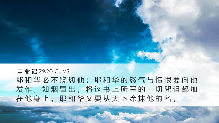 申 命 记 29:20 CUVS Bible Verse Image