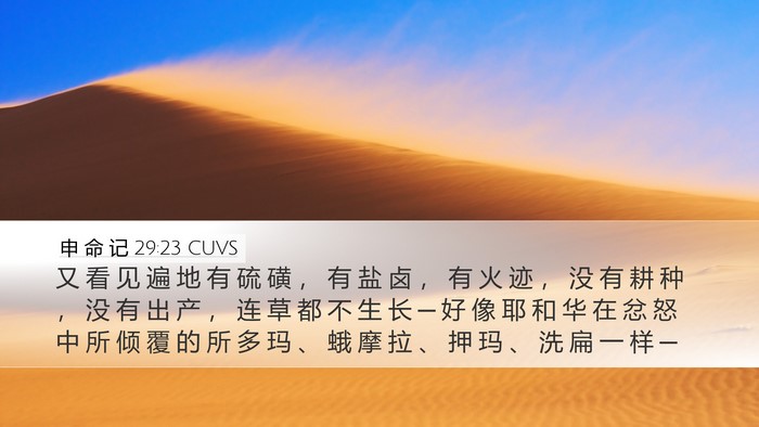 申 命 记 29:23 CUVS Bible Verse Image