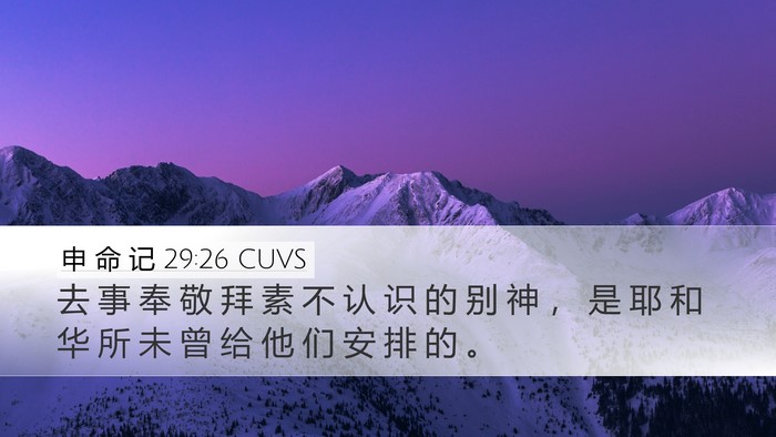 申 命 记 29:26 CUVS Bible Verse Image