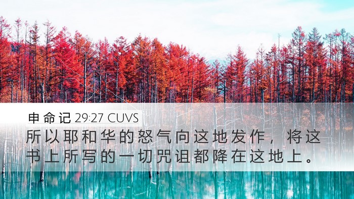 申 命 记 29:27 CUVS Bible Verse Image
