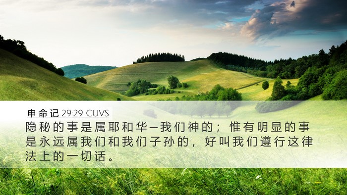 申 命 记 29:29 CUVS Bible Verse Image
